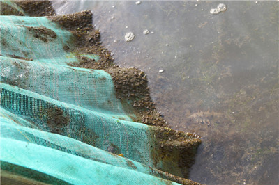 高壓清洗機,進口高壓清洗機,高壓清洗機價格,超高壓清洗機 高壓清洗機,進口高壓清洗機,高壓清洗機價格,超高壓清洗機