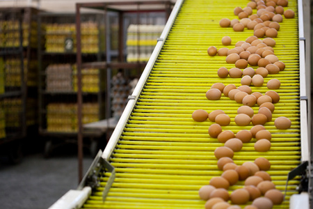 高壓清洗機(jī),進(jìn)口高壓清洗機(jī),高壓清洗機(jī)價(jià)格,超高壓清洗機(jī)