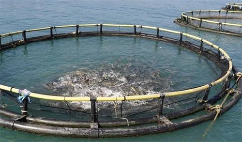 高壓清洗機,進口高壓清洗機,高壓清洗機價格,超高壓清洗機 高壓清洗機,進口高壓清洗機,高壓清洗機價格,超高壓清洗機