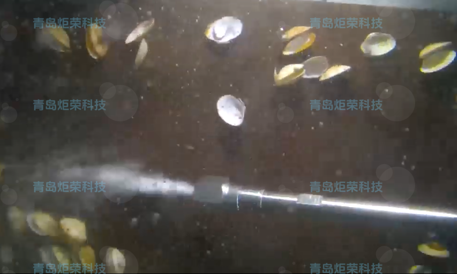 高壓清洗機(jī),進(jìn)口高壓清洗機(jī),高壓清洗機(jī)價(jià)格,超高壓清洗機(jī) 高壓清洗機(jī),進(jìn)口高壓清洗機(jī),高壓清洗機(jī)價(jià)格,超高壓清洗機(jī)